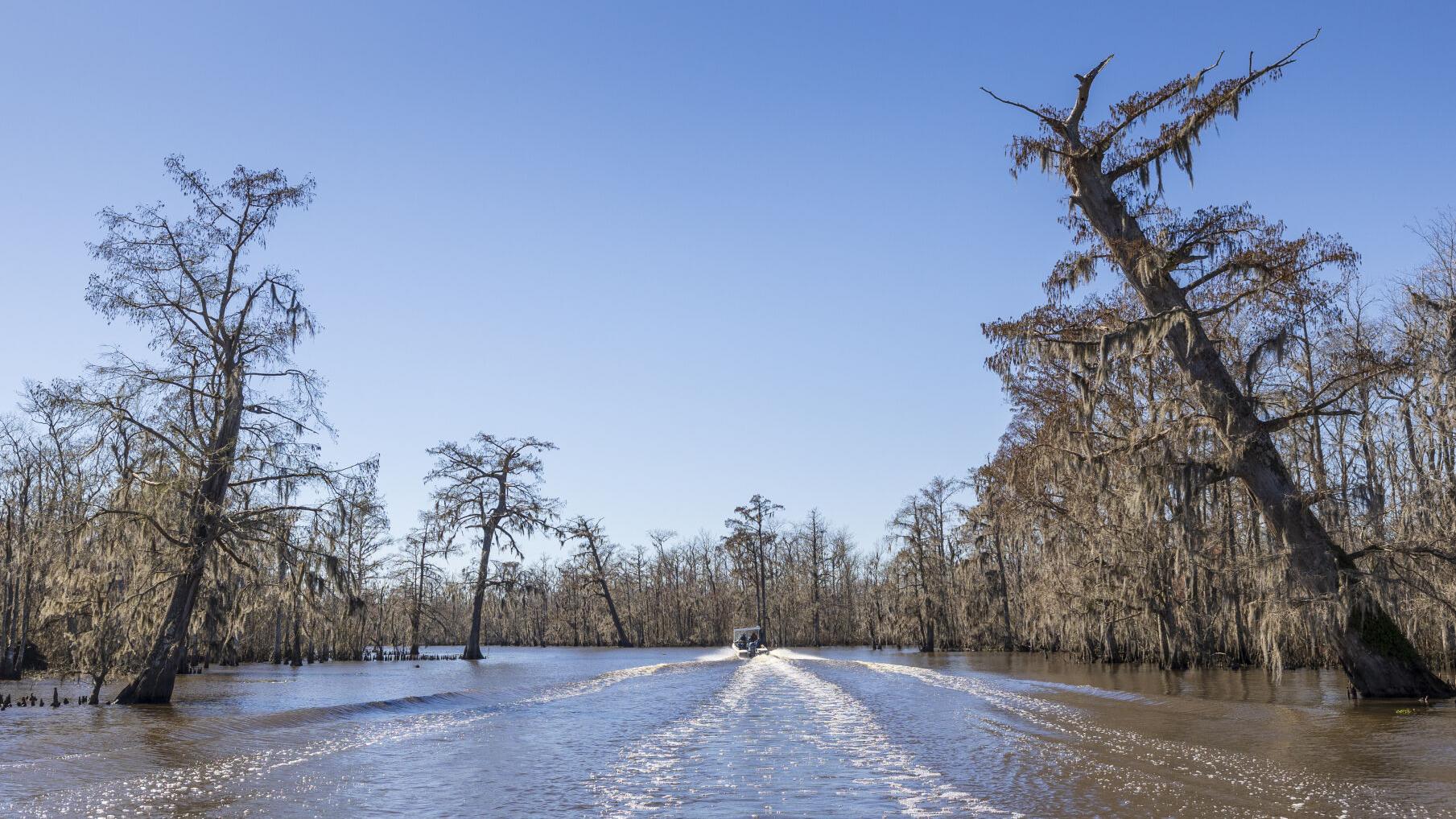 Appeals court stops upcoming St. John Parish trials over Maurepas diversion land
